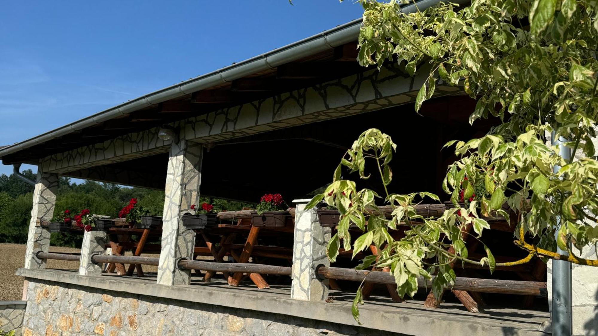 Forest Camp Despotovac Exteriér fotografie
