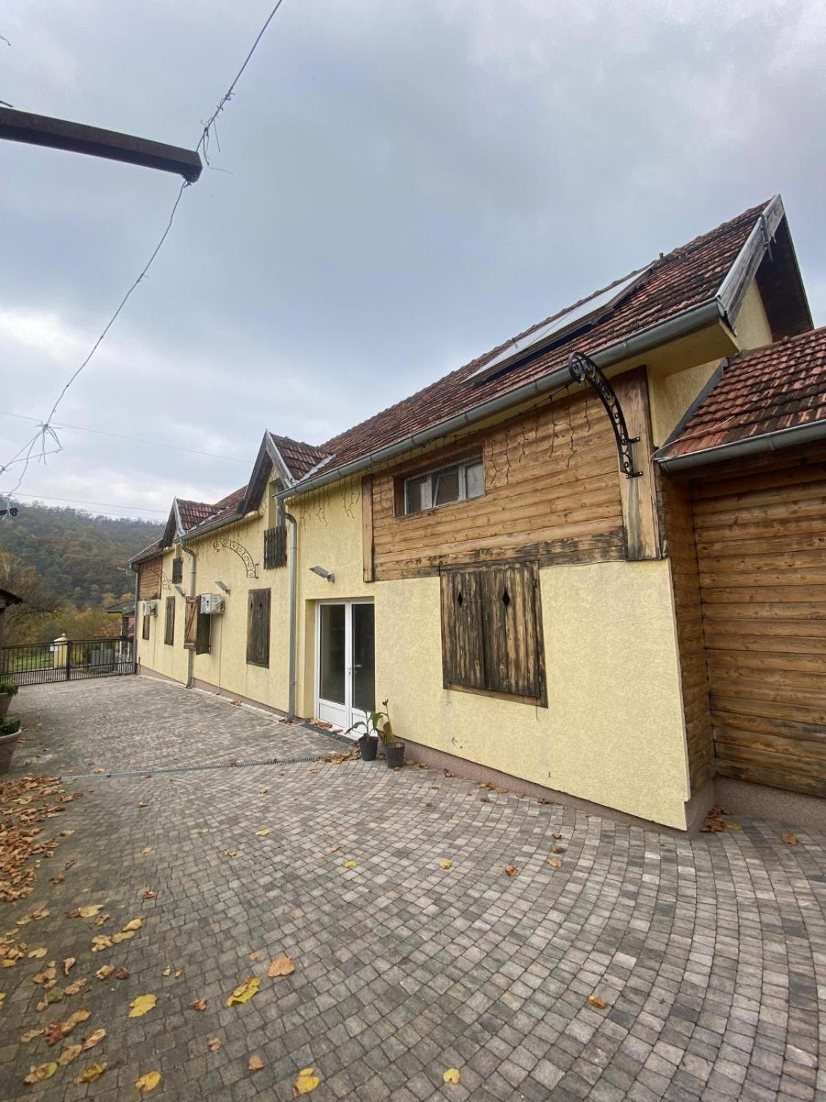 Forest Camp Despotovac Exteriér fotografie
